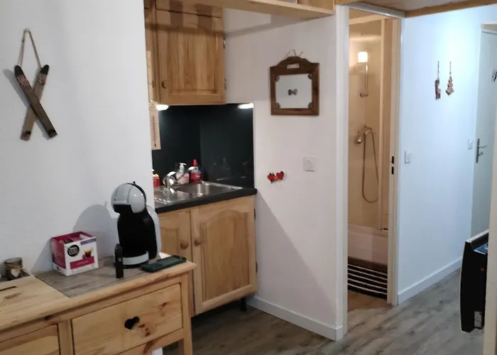 Magnifique Studio Tout Confort 24 M2 Pied Des Pistes